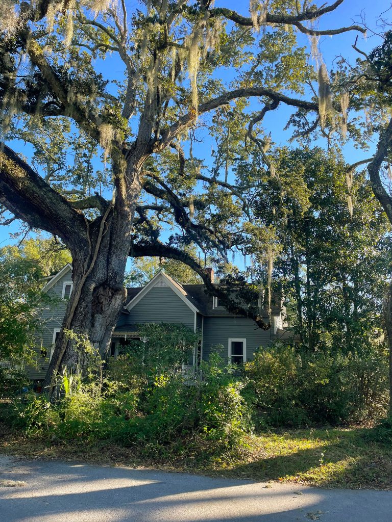 Home With Large Moss Draped Live Oak In Ocean Springs Mississippi