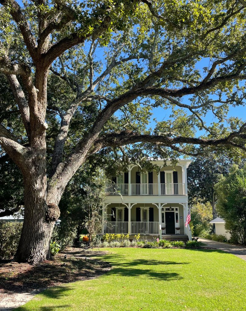 Queen Anne Style Home With Large Tree In Ocean Springs Mississippi