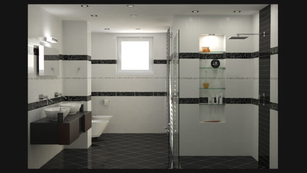 black and white bathroom designs