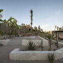 Ka'anche House / Ápiron - Image 5 of 26