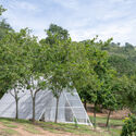 Khanong Phra Campsite / PHTAA Living Design - Image 3 of 50