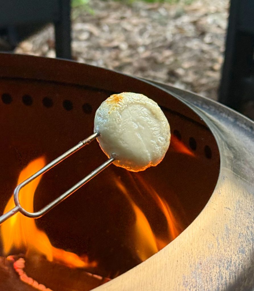 Roasting Babybell Cheese Over Firepit Flame for Savory Smores