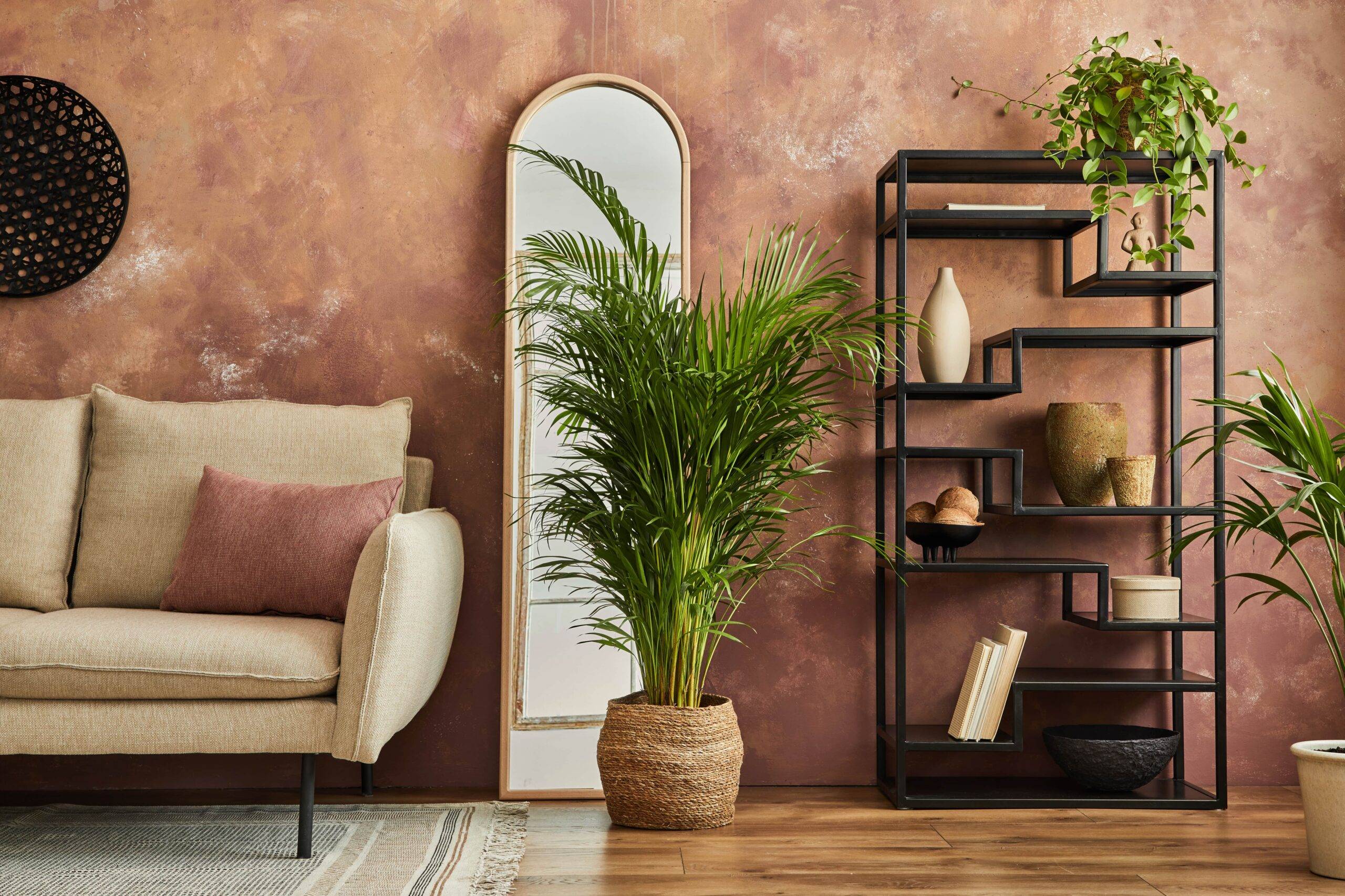 A large palm plant in a modern, styled living room.